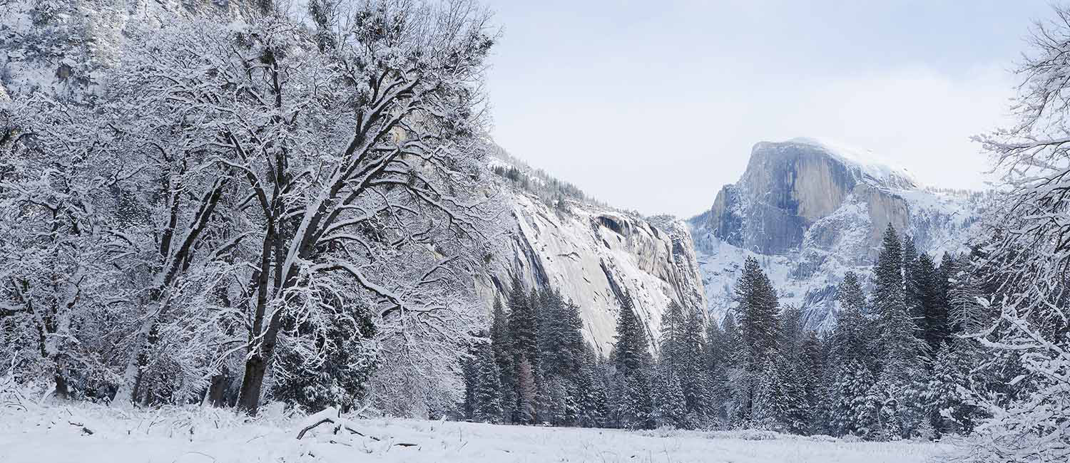 Located Just 14 Miles From Southern Entrance To Yosemite