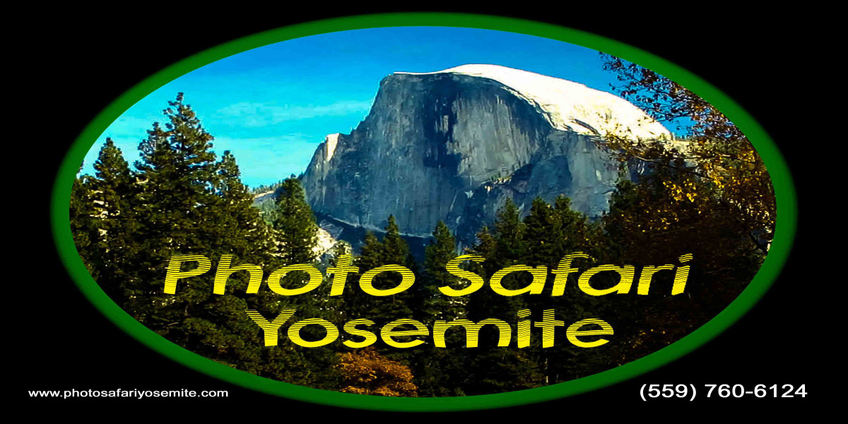 Photo Safari Yosemite