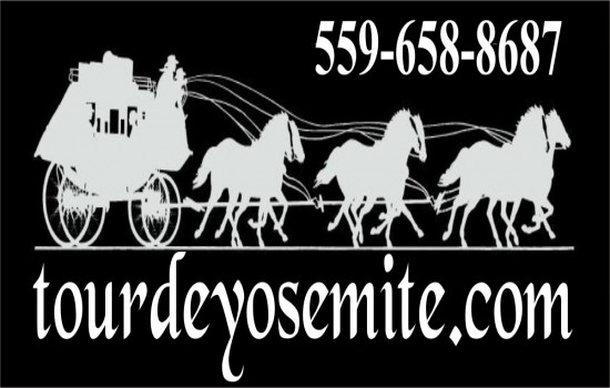 Tour de Yosemite New Logo
